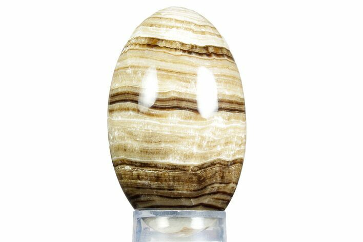 Swirling Polished Chocolate Calcite Egg - Pakistan #350174